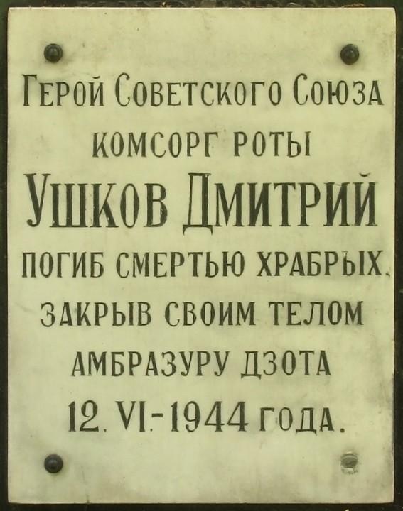 07.jpg