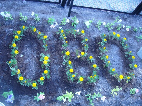 03.jpg