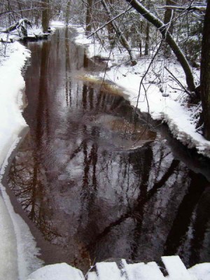 stream.jpg