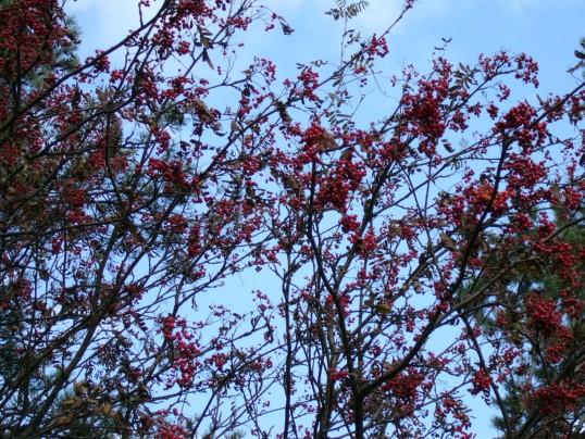 06.jpg
